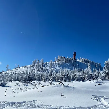Bergtraum Im Harz, 17 Gaeste, Sauna, Hottub-pool 아파트 *