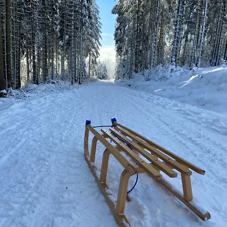 Bergtraum Im Harz, 18 Gaeste, Sauna, Hottub-pool Daire *