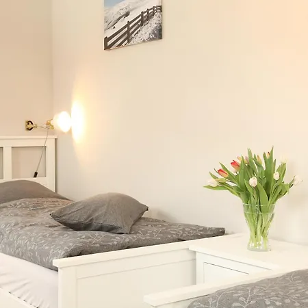 Bergtraum Im Harz, 18 Gaeste, Sauna, Hottub-pool * Braunlage