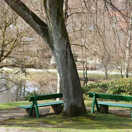 Bergtraum Im Harz, 17 Gaeste, Sauna, Hottub-pool