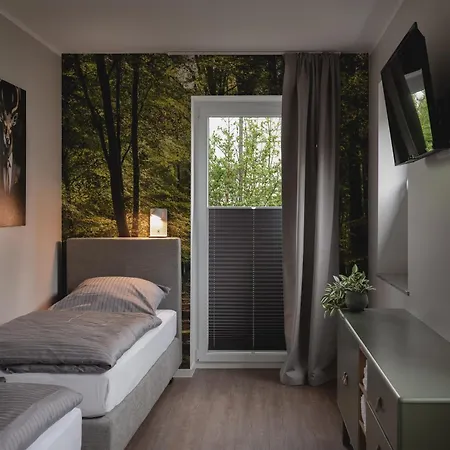 Bergtraum Im Harz, 18 Gaeste, Sauna, Hottub-pool Apartment *