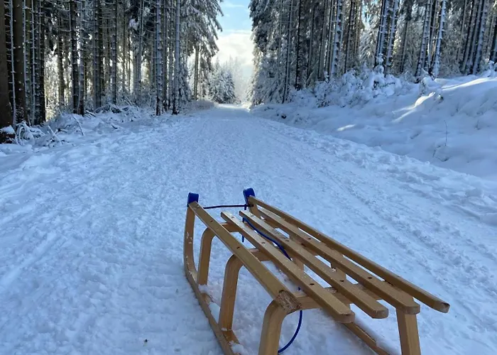 Bergtraum Im Harz, 17 Gaeste, Sauna, Hottub-pool 公寓 *