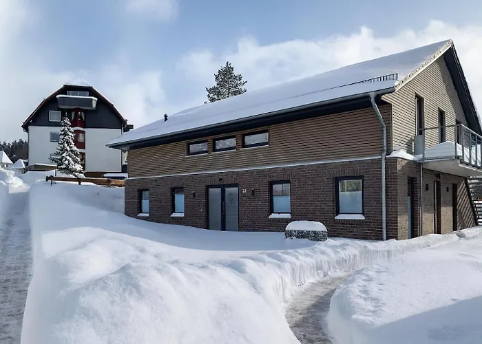 公寓 Bergtraum Im Harz, 17 Gaeste, Sauna, Hottub-pool