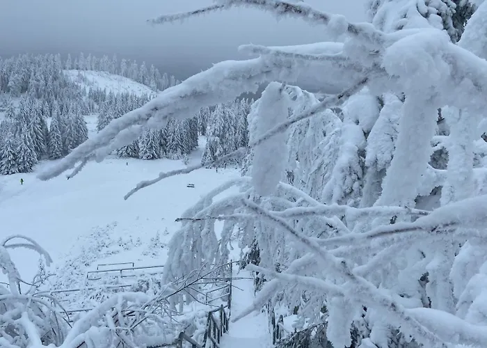 Bergtraum Im Harz, 17 Gaeste, Sauna, Hottub-pool * 布劳恩拉格